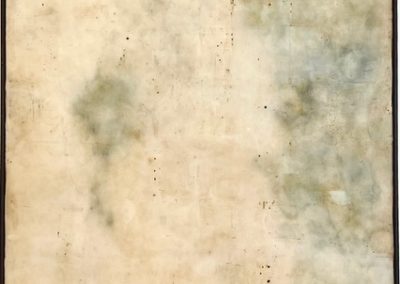 Herbaria - Salvia - Oxydes, bitume, pigments, cire - 120 x 80 cm - 2025