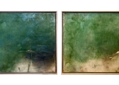 Herbaria - 40 x 40 cm x 2 - 2024