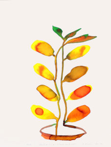 Frédéric Khodja - Plante du Côté de l'Atlantic beach hotel - encre sur papier - 40 x 30 cm - 2021