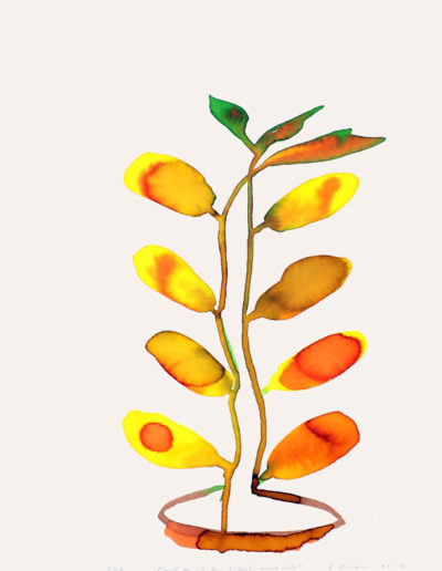 Frédéric Khodja - Plante du Côté de l'Atlantic beach hotel - encre sur papier - 40 x 30 cm - 2021