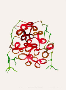 Frédéric Khodja - Plante du peintre catalan - Encres sur papiers aquarelles / 65 x 50 cm / 2022